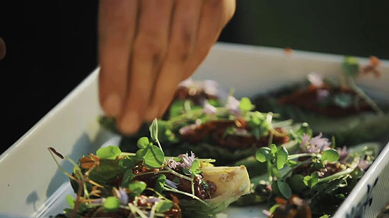 Nordjylland kulinarische Entdeckungsreise